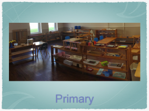 Primary2